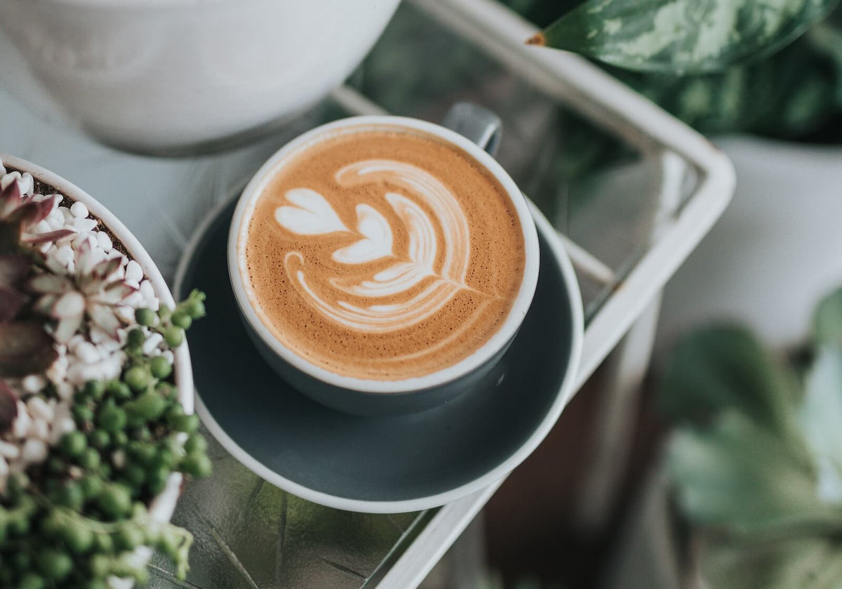 Cappuccino: Ein verführerischer Klassiker aus Italien - Barista Royal GmbH