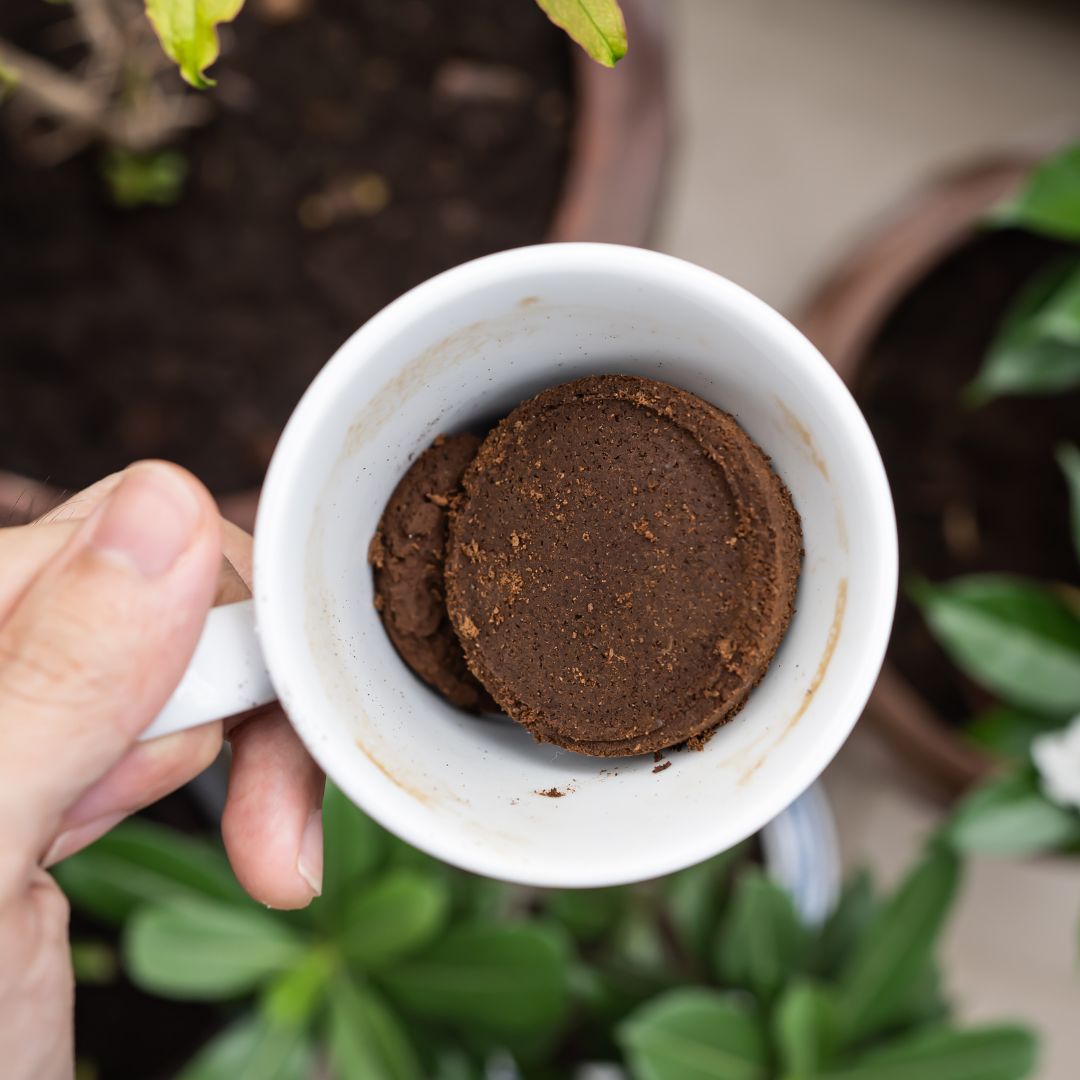 Kaffee Dünger